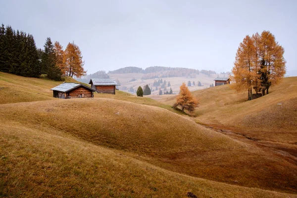 Jesienny Mglisty Krajobraz Seiser Alm Dolomitach Włochy Obraz Stockowy