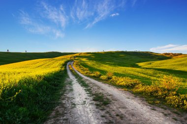 İtalya baharda Toskana 'da kirli yol ve tarım arazisi