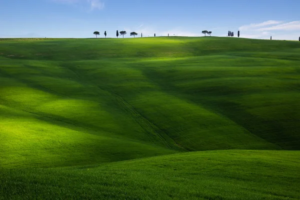 Groene Bergweide Met Lange Schaduwen Toscane Italië — Stockfoto