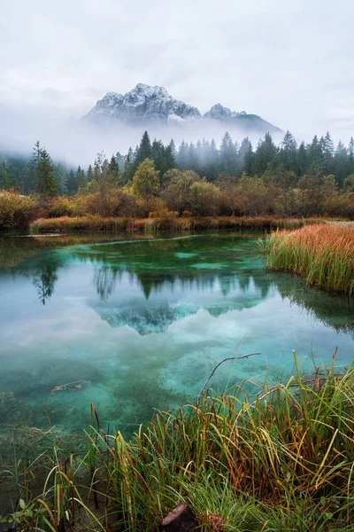 Zelenci Meer Herfst Triglav Nationaal Park Kranjska Gora Slovenië Stockafbeelding