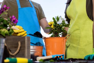 Gençler güneşli bir günde terasta bahçıvan önlüğü giyiyorlar.