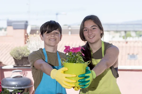 Retrato Dois Adolescentes Usando Avental Jardineiro Com Vasos Plantas Nas — Fotografia de Stock