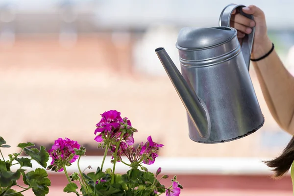 Remaja Mengenakan Celemek Berkebun Sambil Menyiram Tanaman Rumahan Teras Rumah — Stok Foto