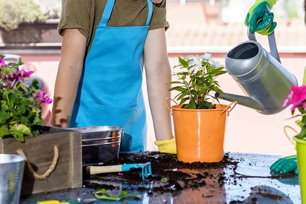 Para Remaja Mengenakan Celemek Tukang Kebun Sambil Berkebun Teras Pada — Stok Foto