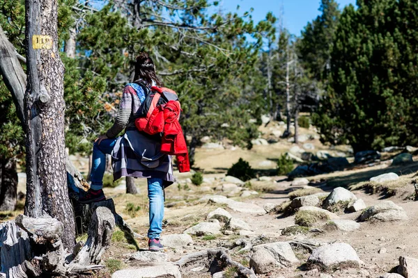 Vista Trasera Una Mujer Mochilera Pie Sendero Forestal Mientras Mira —  Fotos de Stock