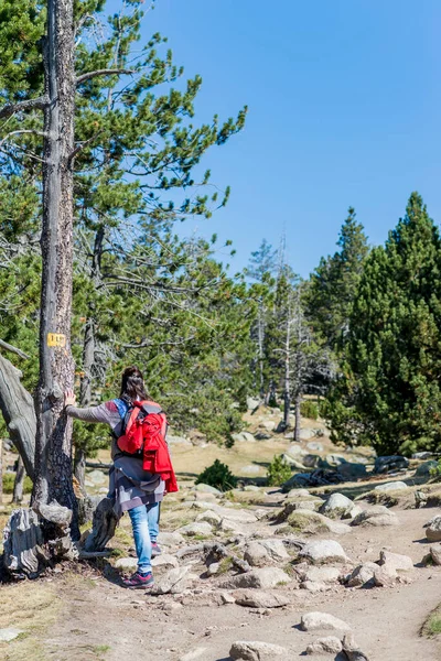 Rückansicht Einer Backpacker Frau Die Auf Einem Waldweg Steht Und — Stockfoto