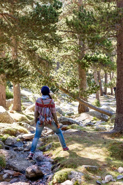 Vista Trasera Una Mujer Mochilera Pie Sendero Forestal Mientras Mira —  Fotos de Stock