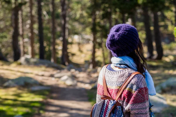 Rückansicht Einer Backpacker Frau Die Auf Einem Waldweg Steht Und — Stockfoto