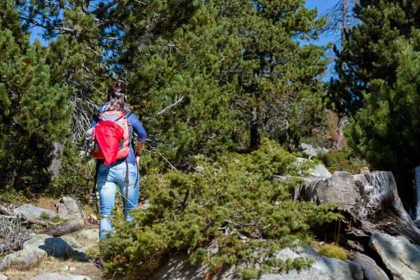 Rückenansicht Einer Backpacker Frau Beim Wandern — Stockfoto