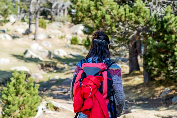 Rückenansicht Einer Backpacker Frau Beim Wandern — Stockfoto