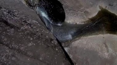 Dönen bir derenin havadan görünüşü 