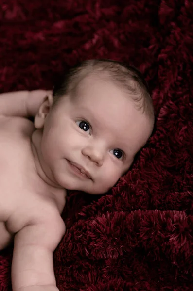 Pasgeboren Baby Meisje Slapen Een Deken — Stockfoto