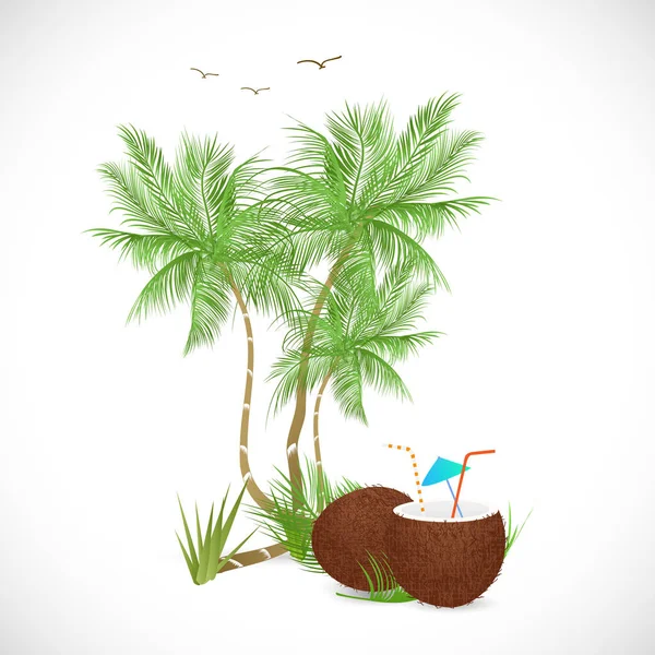 Bebida de coco — Vector de stock