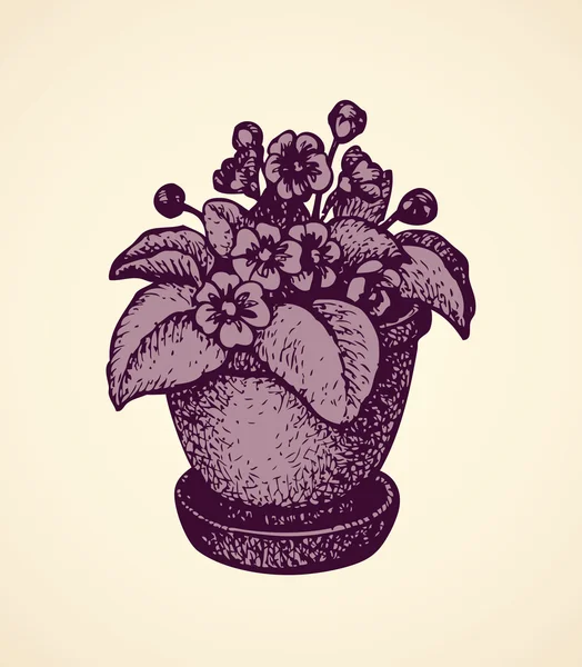 Διάνυσμα σχεδίασης. λουλούδια στην κατσαρόλα — Διανυσματικό Αρχείο
