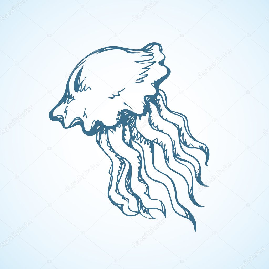 Vintage vector sketch of jellyfish — Stock Vector © Marinka 125059250