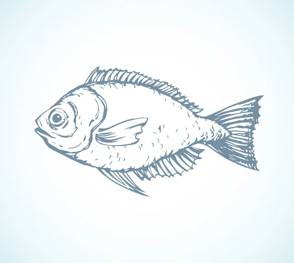 Pescado dibujado a mano. Ilustración vectorial — Vector de stock