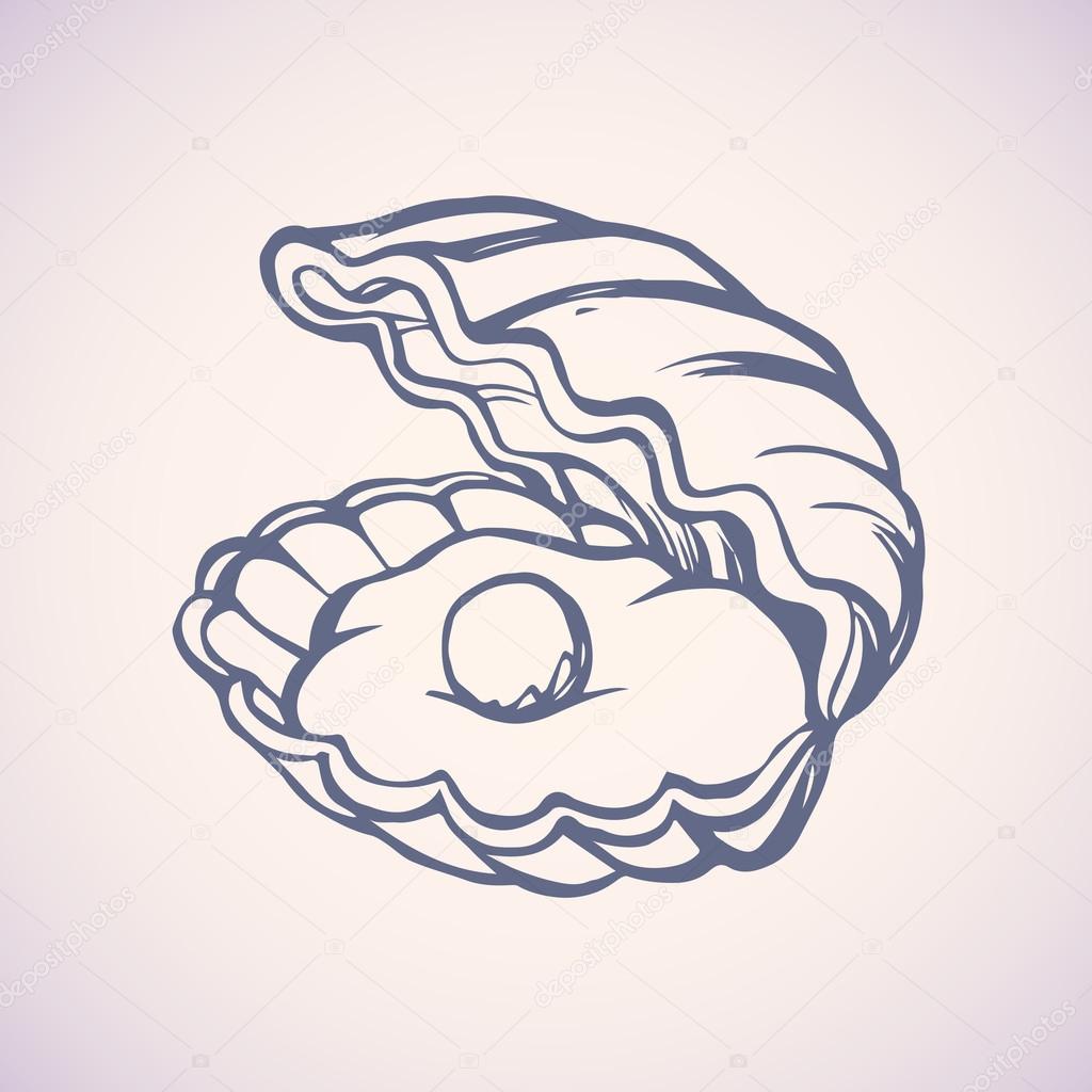 Pearl in shell. Vector drawing