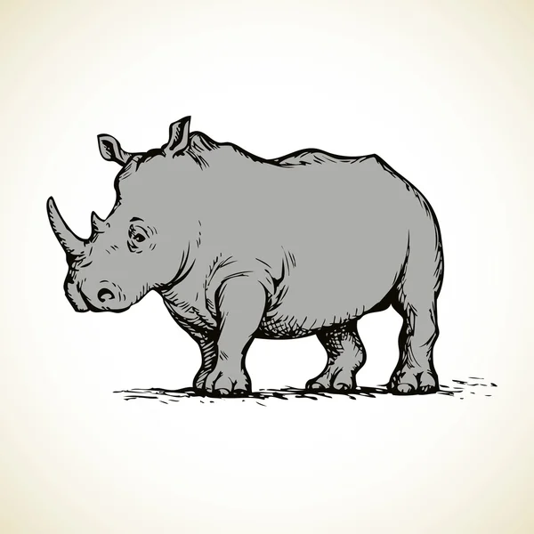 Rhinocéros. Dessin vectoriel — Image vectorielle