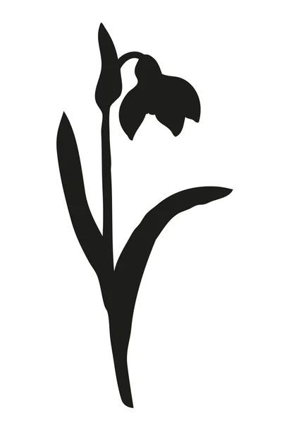 ベクトル描画します。最初の春の花 - スノー ドロップ — ストックベクタ