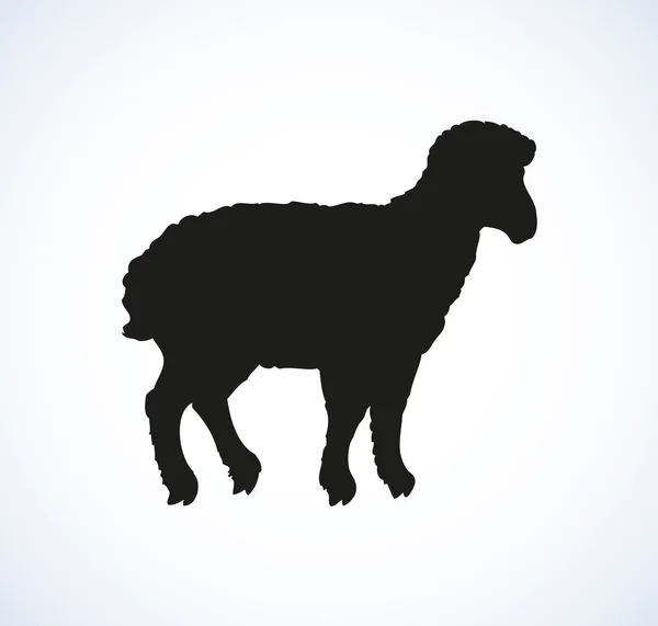 Sheep. Vector sketch — Stock Vector