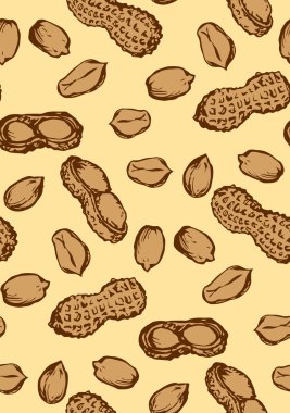 Fıstık. Vektör çizim