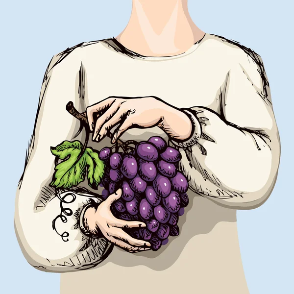 Manos con racimo de uvas. Dibujo vectorial — Vector de stock