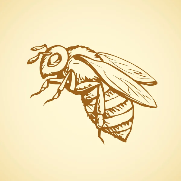 Abeja. Dibujo vectorial — Archivo Imágenes Vectoriales