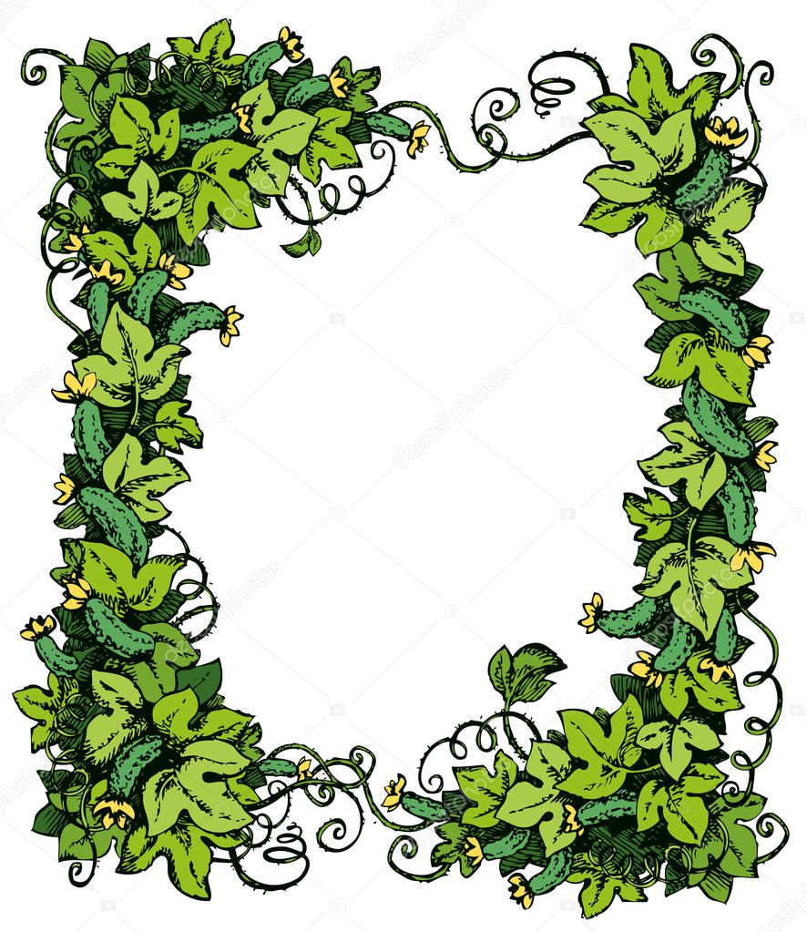 Cucumber vine. Vector drawing — Stock Vector © Marinka 128922760