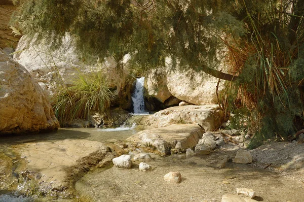 Cascada en las rocas del Mar Muerto de Ein Gedi — Foto de Stock