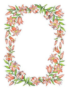 Narin pembe lily. Karakalem