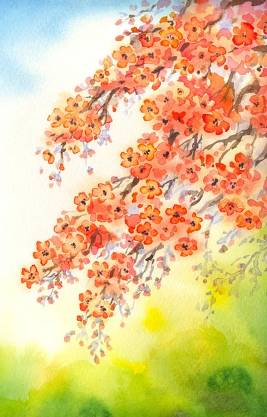 Blommande grenar. Akvarell bakgrunden — Stockfoto
