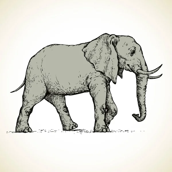 Free Free 288 Elephant Sketch Svg SVG PNG EPS DXF File