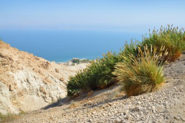 Rocks Ein Gedi. İsrail