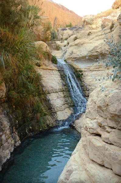 Cascada en las rocas Ein Gedi. Israel — Foto de Stock