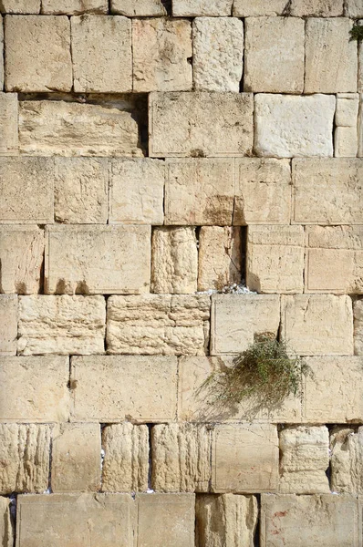 Западная стена в Иерусалиме. Израиль — стоковое фото