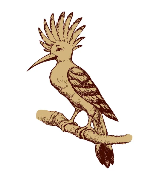 Bird. Vector drawing — Stock Vector