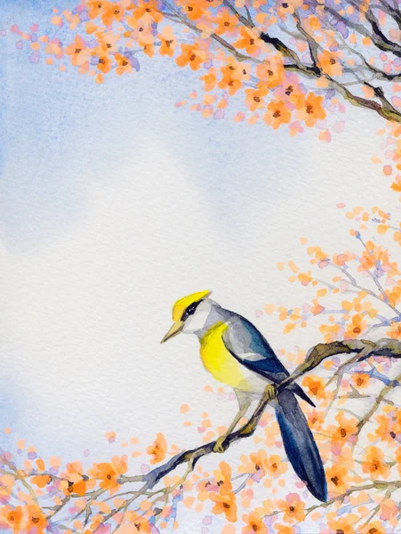 Bel oiseau sur la branche fleurie. Aquarelle peinture — Photo