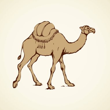 Gergedan. Vektör çizim