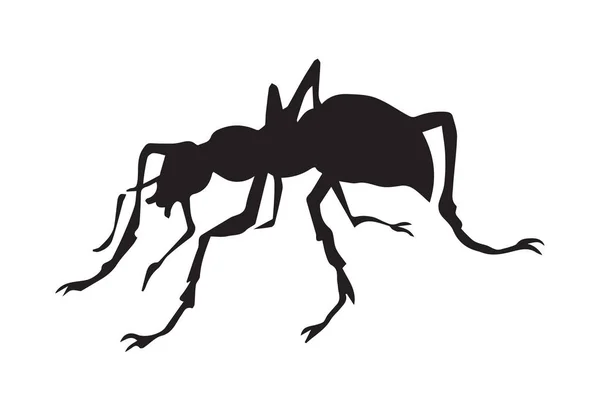 Ant. Vector drawing — Stock Vector