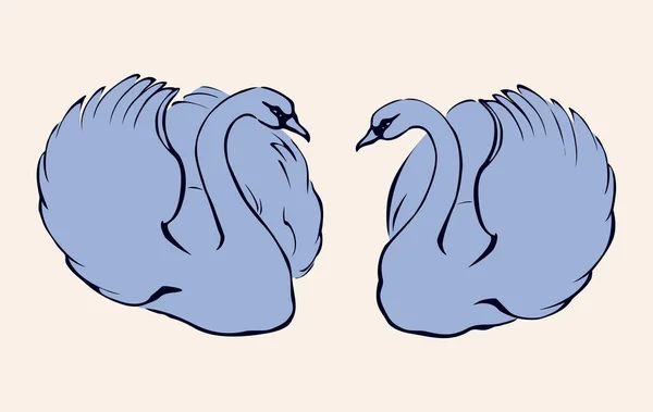 Un par de cisnes elegantes. Dibujo vectorial — Archivo Imágenes Vectoriales