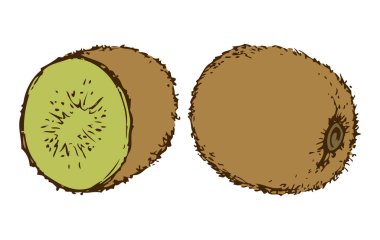 Olgun kivi. Vektör çizim