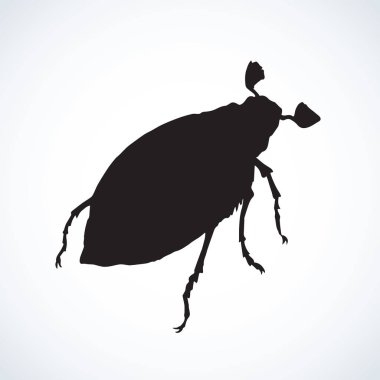 Melolonthinae. Vektör çizim