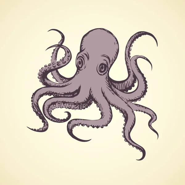 Octopus. Vector drawing — Stock Vector