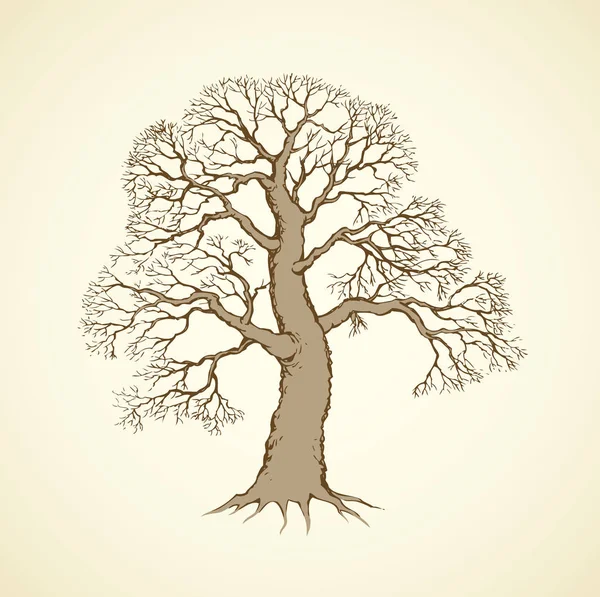 Vector image of mighty tree with bare branches — Stock Vector