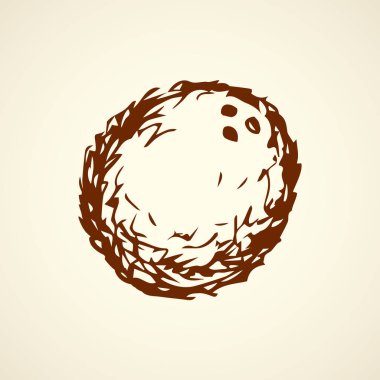 Hindistan cevizi. Vektör çizim