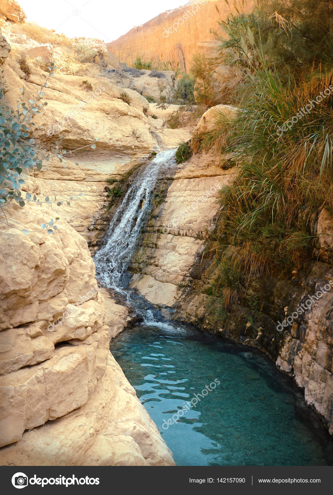 Waterfall in rocks Ein Gedi. Israel — Stock Photo © Marinka #142157090