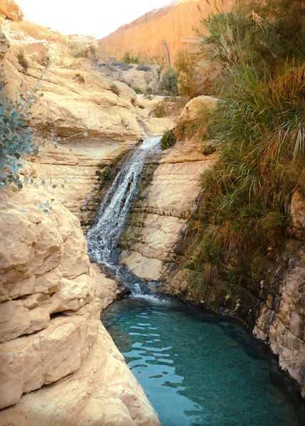 Cascada en las rocas Ein Gedi. Israel — Foto de Stock