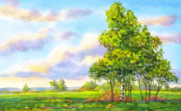 Watercolor landscape. The trees in the evening field — Stock Photo, Image