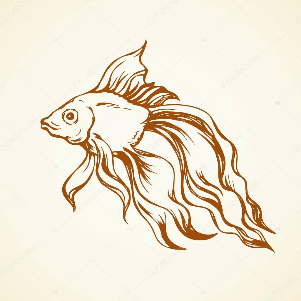 Little terracotta carpio on beige backdrop. Freehand outline brown ink hand drawn picture sketchy in art retro scribble style pen on paper. Closeup side view