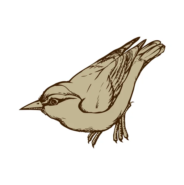 Un oiseau. Dessin vectoriel — Image vectorielle
